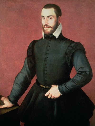 Portrait of a Young Man in an Interior by Jan Stephen van Calcar